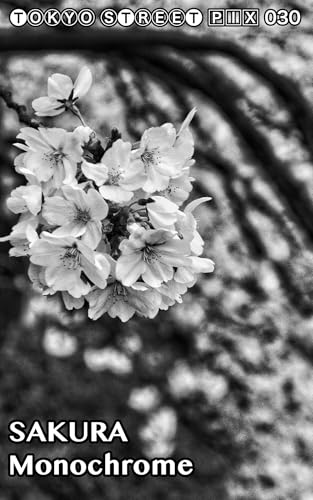 女性情報 切り抜き情報誌 ２０１８年９月号/パド・ウィメンズ・オフィス（単行本） 661269_l.jpg